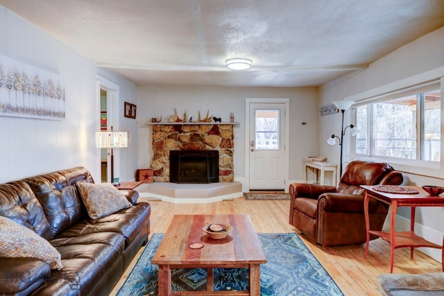 living room with a fireplace and hardwood / wood-style flooring