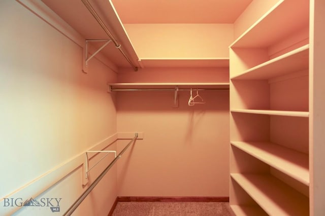 spacious closet featuring light carpet