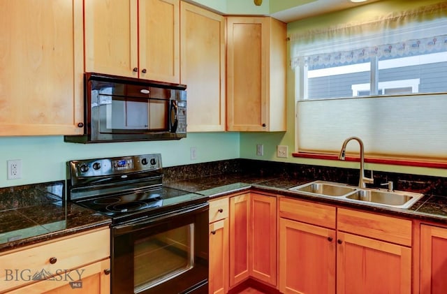 kitchen with sink and black appliances