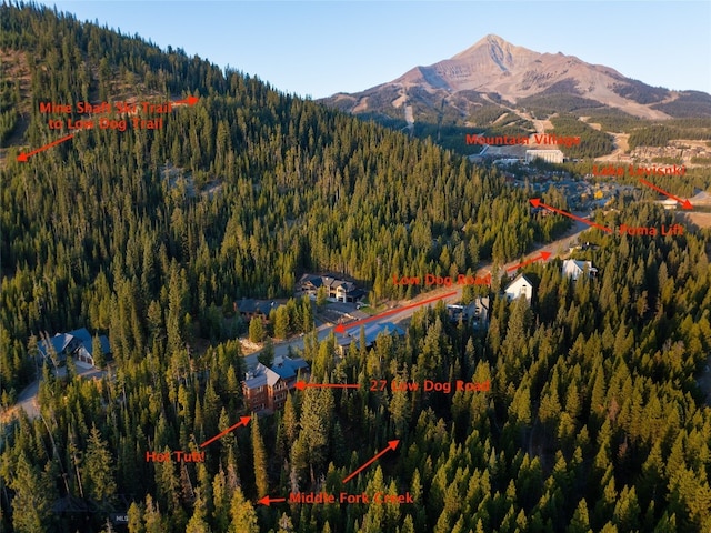 aerial view with a mountain view