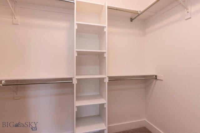 view of walk in closet