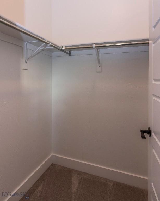 spacious closet featuring dark carpet
