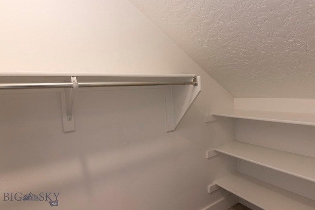 spacious closet with lofted ceiling