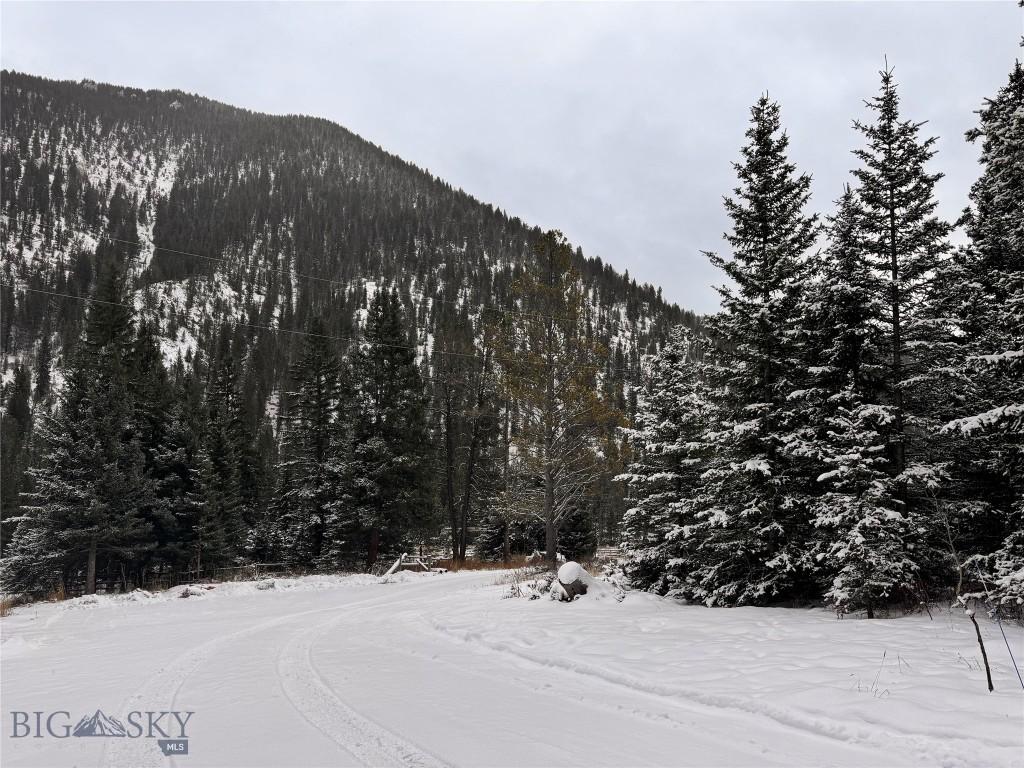 37329 Gallatin Rd, Gallatin Gateway, MT 59730 - view of mountain background with a forest