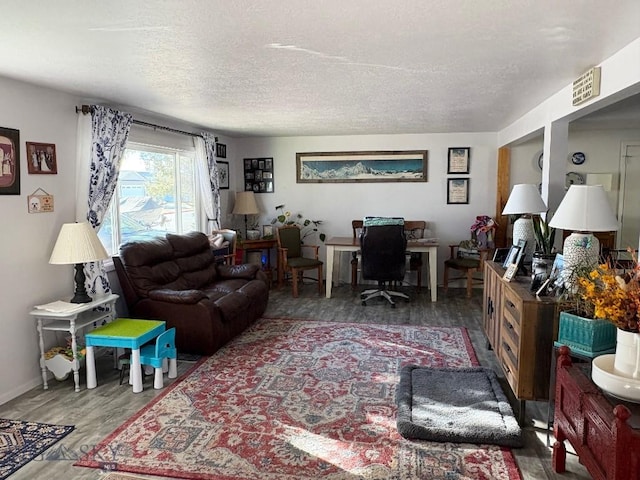 living room featuring a textured ceiling and hardwood / wood-style flooring