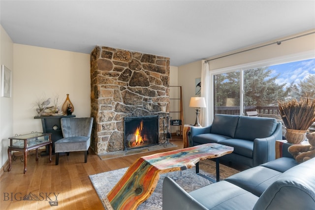 living room with a fireplace and wood-type flooring