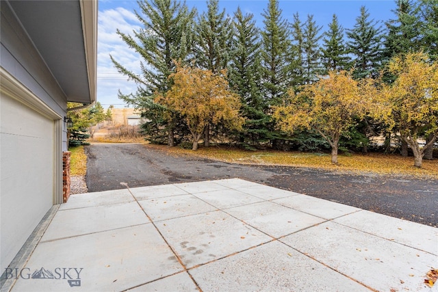 view of yard with a patio area