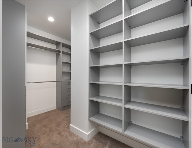 walk in closet with carpet