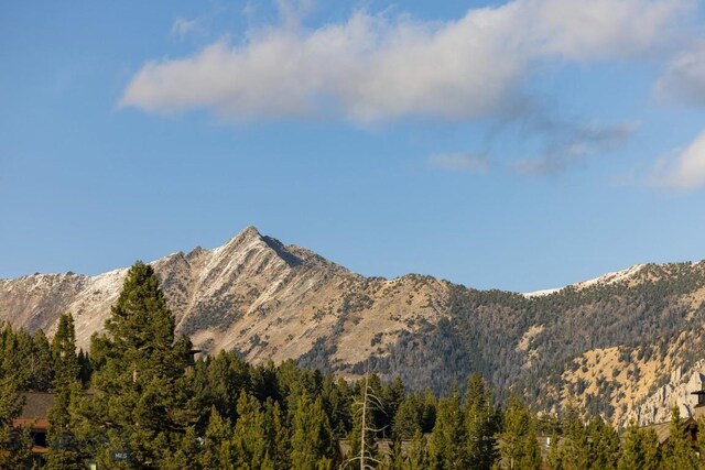 117 Martingale Frk Unit 6, Big Sky, MT 59716 - mountain view with a heavily wooded area