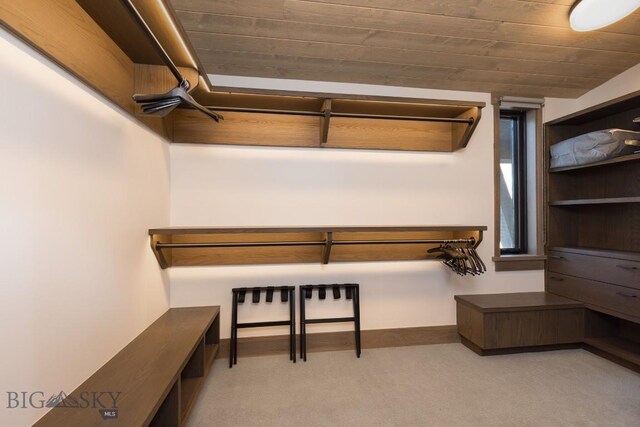 117 Martingale Frk Unit 6, Big Sky, MT 59716 - walk in closet featuring carpet floors