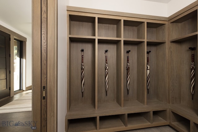 mudroom with hardwood / wood-style flooring