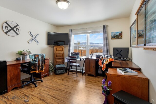 office space featuring light hardwood / wood-style flooring