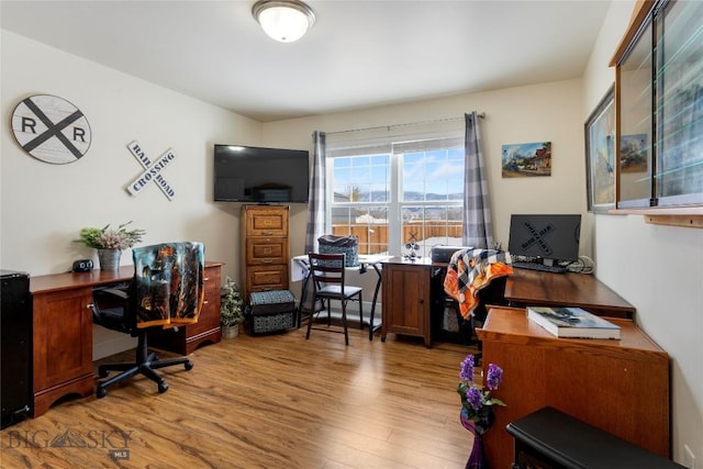 2309 Sturnella Ln, Belgrade, MT 59714 - home office with light wood-type flooring