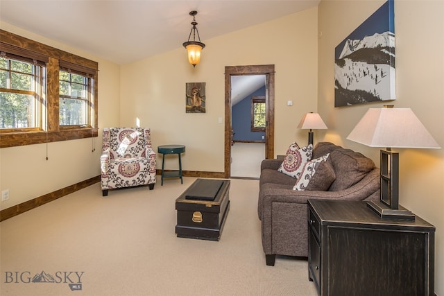 carpeted living room featuring lofted ceiling