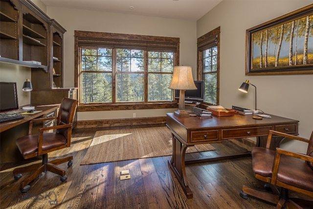 office featuring a wealth of natural light and dark wood-type flooring