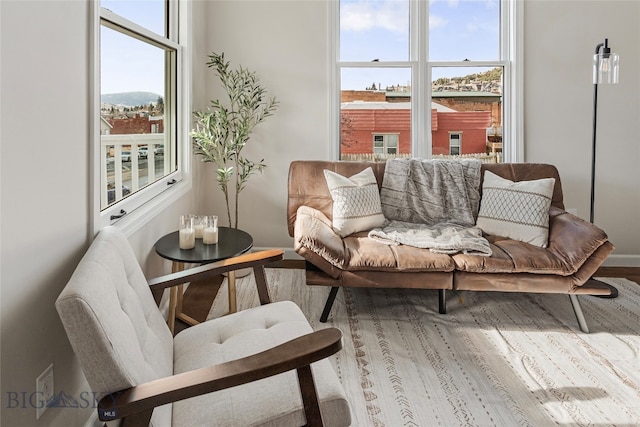 sitting room featuring wood-type flooring