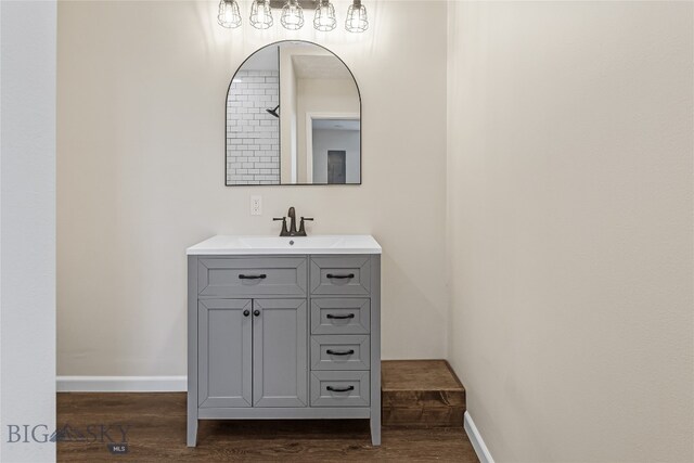 bathroom with vanity and wood-type flooring