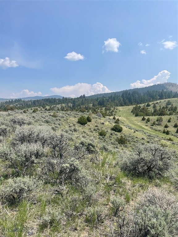 TBD Round Pole Dr, Clarkston MT, 59752 land for sale