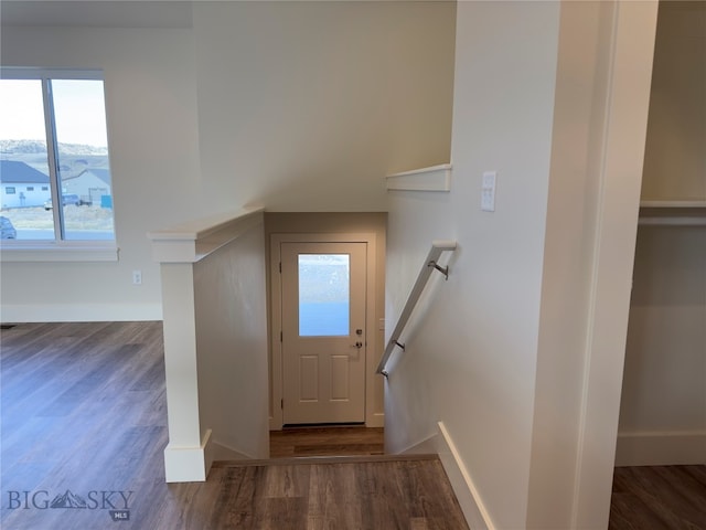 staircase featuring wood-type flooring and a wealth of natural light