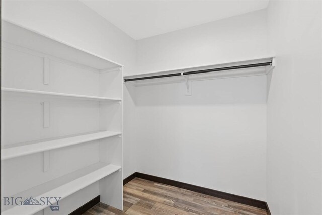 walk in closet with hardwood / wood-style flooring