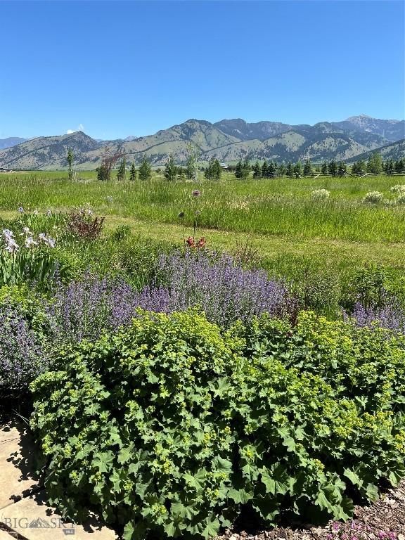 618 Autumn Ridge Rd, Bozeman, MT 59715 - view of mountain background featuring rural landscape