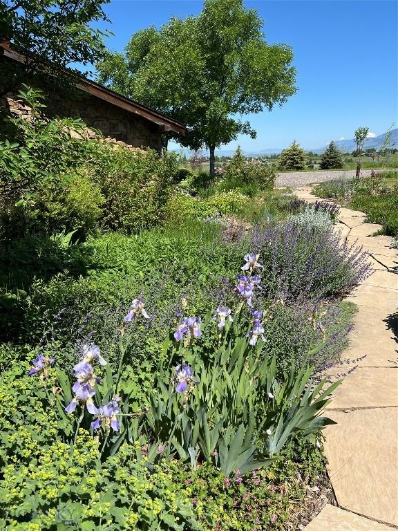 618 Autumn Ridge Rd, Bozeman, MT 59715 - view of yard