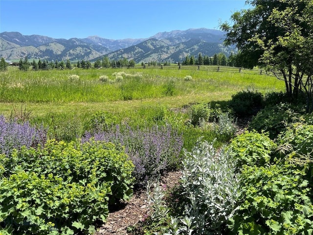 618 Autumn Ridge Rd, Bozeman, MT 59715 - mountain view featuring rural landscape
