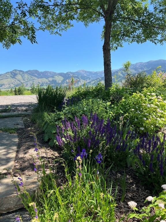 618 Autumn Ridge Rd, Bozeman, MT 59715 - mountain view