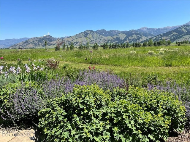618 Autumn Ridge Rd, Bozeman, MT 59715 - view of mountain background with rural landscape
