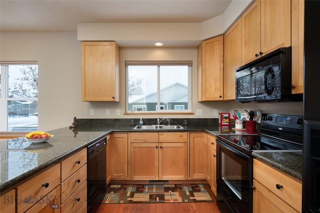 kitchen featuring black appliances, plenty of natural light, dark hardwood / wood-style flooring, and sink