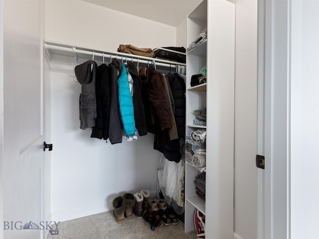 spacious closet with carpet