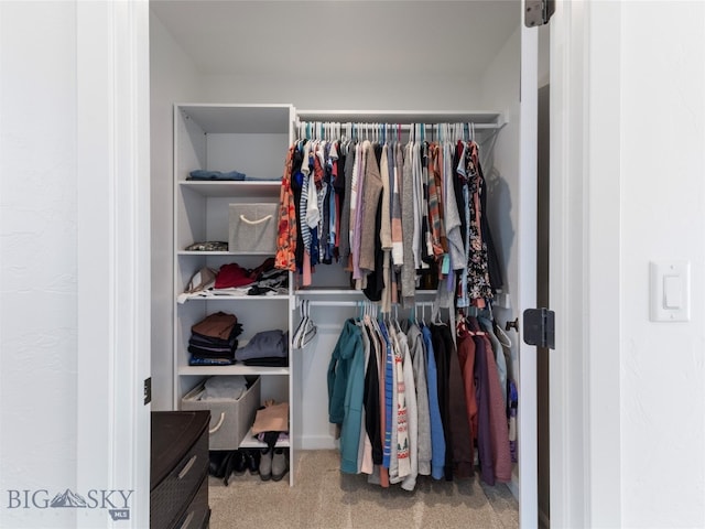 view of closet