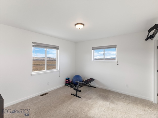 exercise room with baseboards, carpet, visible vents, and a wealth of natural light
