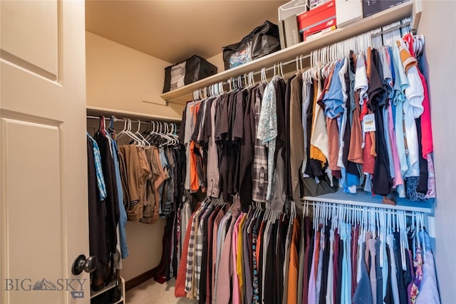 spacious closet featuring carpet