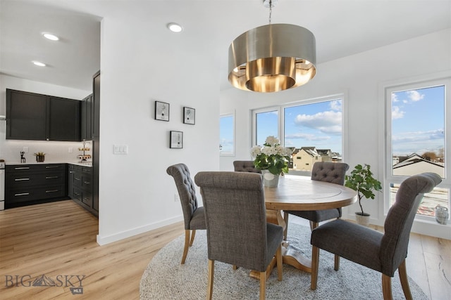 dining room featuring a wealth of natural light and light hardwood / wood-style floors