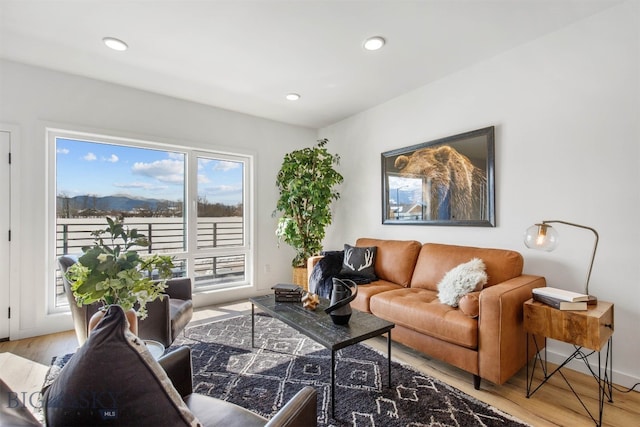 living room with light hardwood / wood-style floors