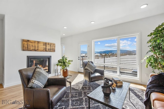 living room featuring light hardwood / wood-style flooring