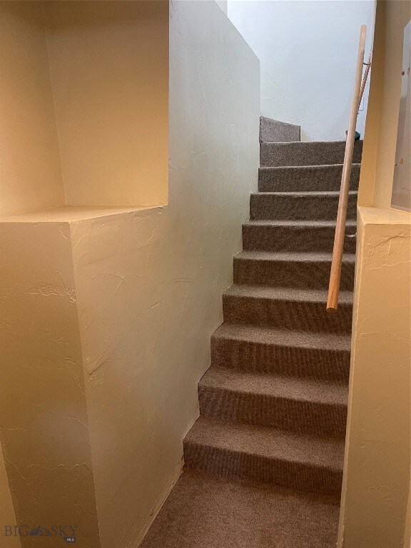 stairway with carpet