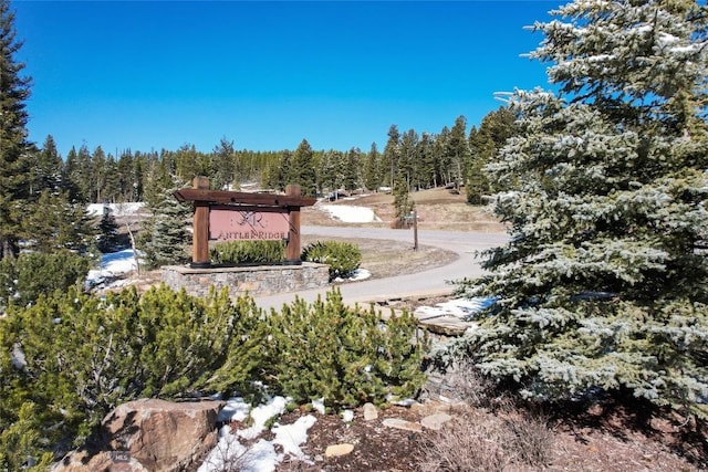 Listing photo 3 for 389 Antler Ridge Rd, Big Sky MT 59716