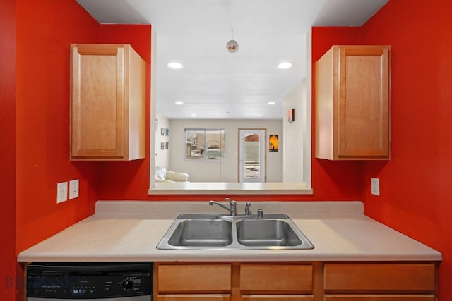 kitchen with dishwasher and sink