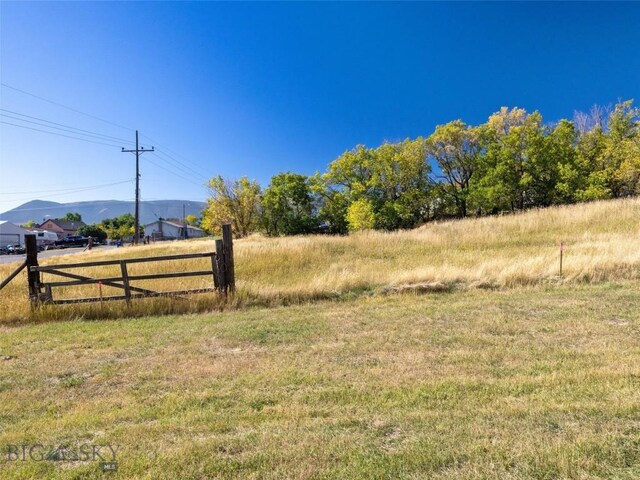 view of yard with a mountain view and a rural view