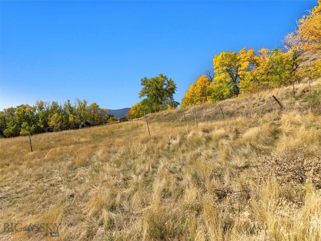 view of local wilderness with a rural view