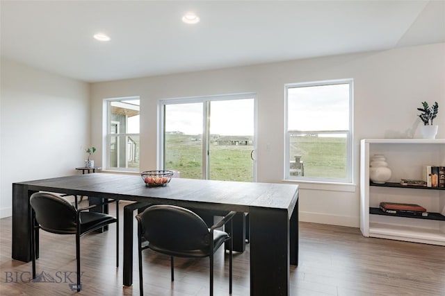 dining space featuring hardwood / wood-style floors