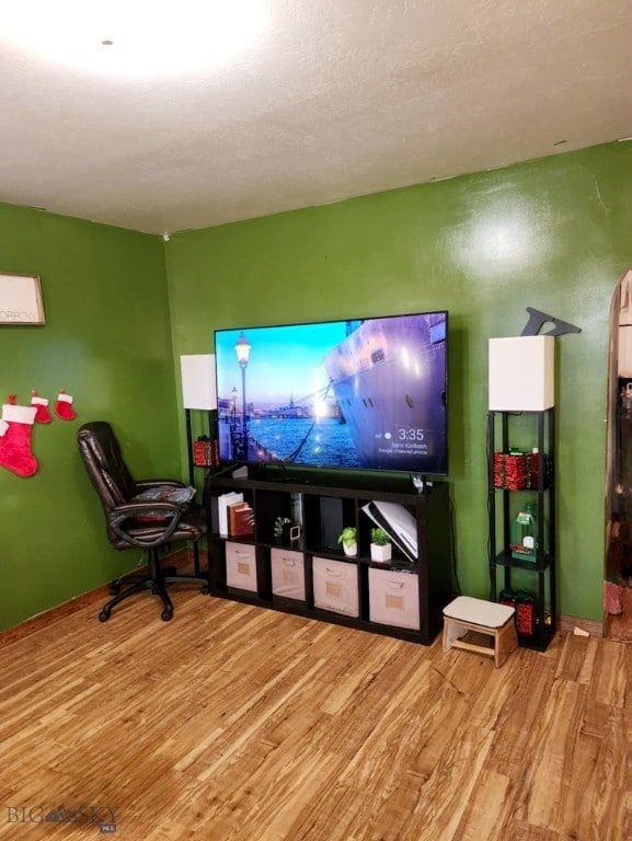 cinema room featuring light hardwood / wood-style floors