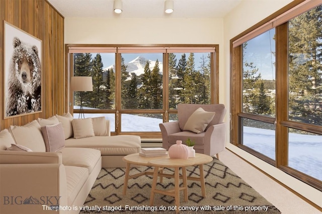 living room featuring wood walls and a wealth of natural light