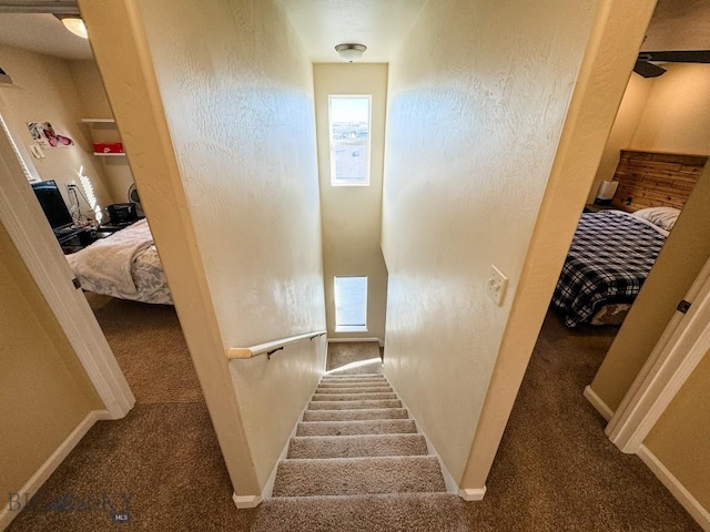 stairs featuring carpet