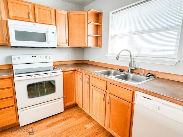 kitchen featuring sink, white appliances, and light wood-type flooring