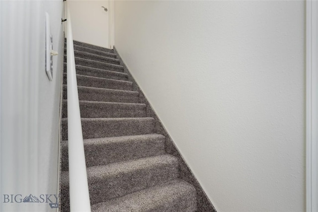 stairs featuring carpet floors