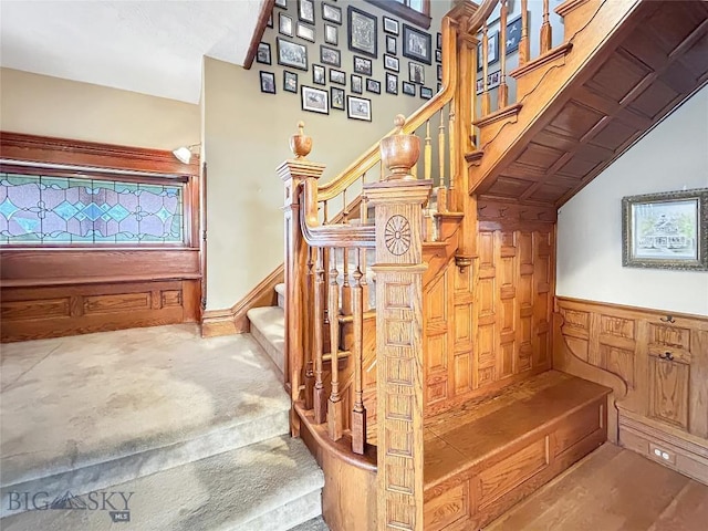 stairway with carpet floors and wooden walls