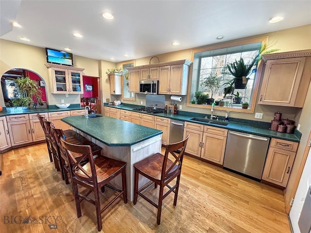 kitchen featuring light brown cabinetry, light wood-type flooring, stainless steel appliances, and sink